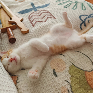 要等你开口，那冬天才会走