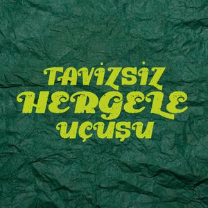 TERMİNAL