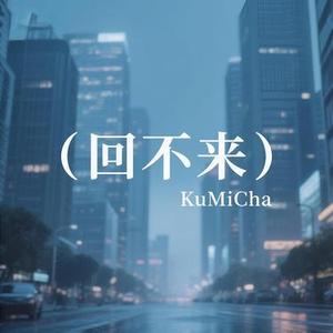 回不来