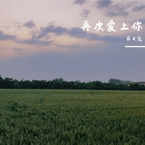 再次爱上你