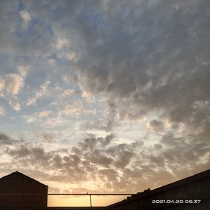 温柔（翻自 佚名）