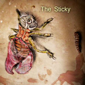 Sinty