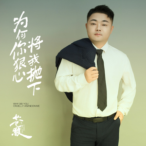 为何你狠心将我抛下