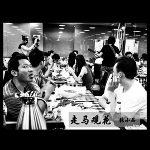 走马观花 吉他版