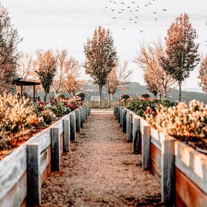 适合旅馆柔和的音乐