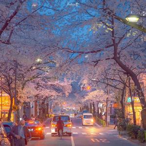 一百个不喜欢你的方法