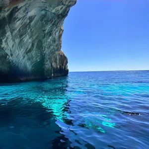 《春雨润处繁花绽》