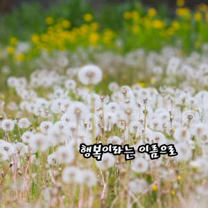 행복이란 이름으로