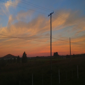 Vista