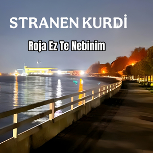 Roja Ez Te Nebinim