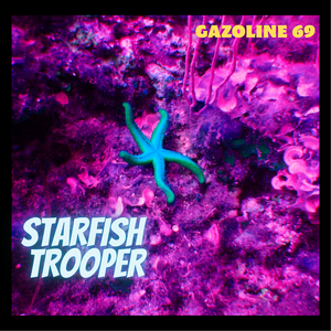 Jellyfish on the Dancefloor