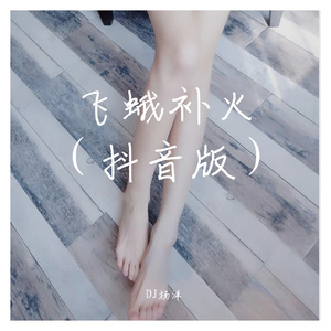 飞蛾补火（抖音版）