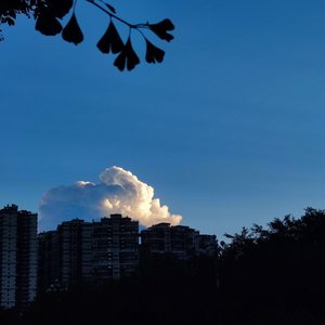 秋天(Prod.Furyl)
