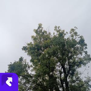 最后还是不能相见（古风版）