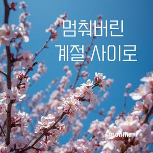 멈춰버린 계절 사이로