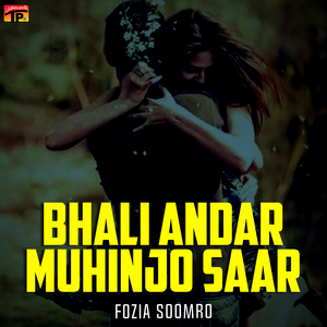 Bhali Andar Muhinjo Saar