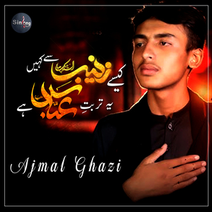 Kaise Zainab Say Kahay Ye Turbat E Abbas Hai