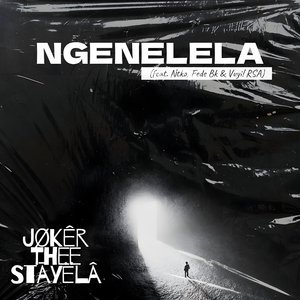 Ngenelela