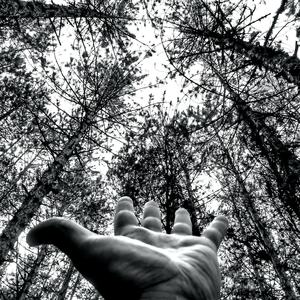 Στα Γρεβενά (Στα Άγρα Βνα)