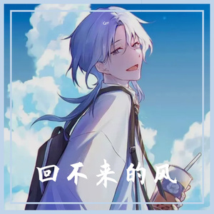 回不来的风