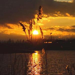 突然看我的时候