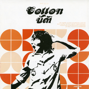 ชิงช้าสวรรค์