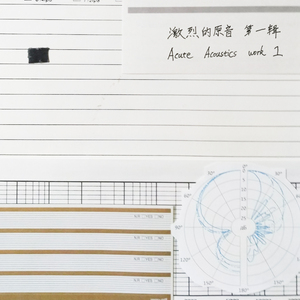 Acute Acoustics work 1 - 1