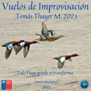 Humendal Nocturno (Shivaranjani) (3D)