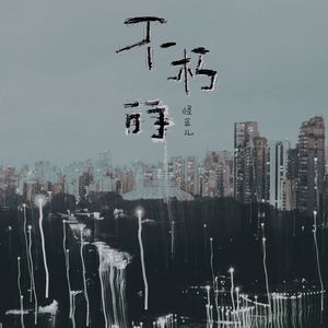 不朽的 （DJ版）