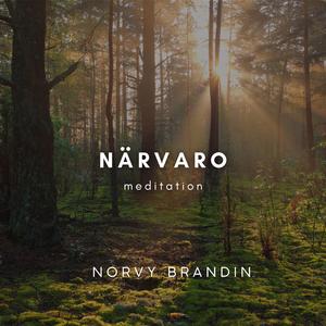 Närvaro (Guidad meditation för inre stillhet)