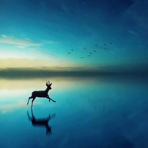 简单是我向往的