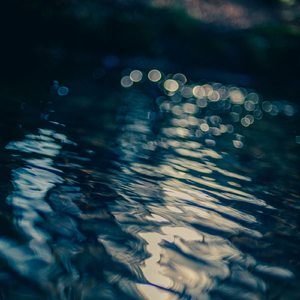 Forest Of Forgotten Hearts (Original Mix)