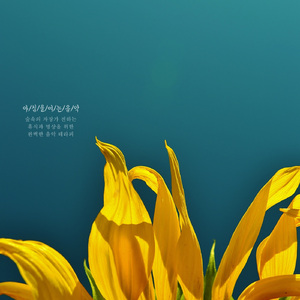 아침을 여는 음악