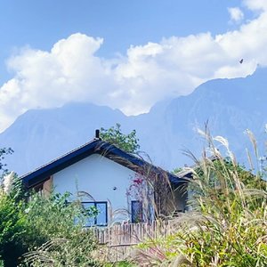 梦回少年 （翻自 舒岩）