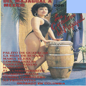 Parrandeando