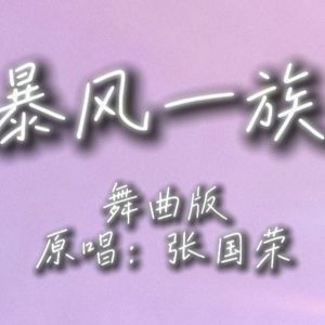 暴风一族（动感舞曲版DJ版）
