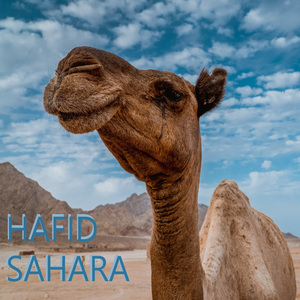 Sahara