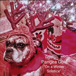 Santa Flying Home over the Frozen Wilderness