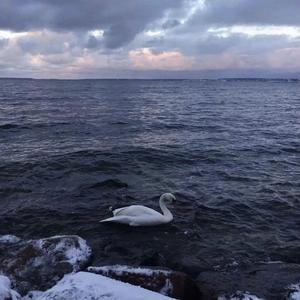 纸船（薛之谦、郁可唯版）