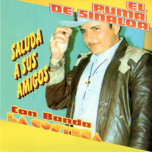 Te mandare una carta