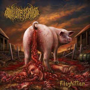 Fleshitter