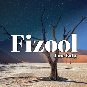 Fizool