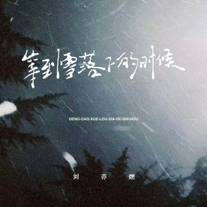 等到雪落下的时候