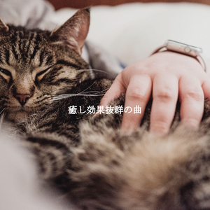 Joyful Dining with Co Workers