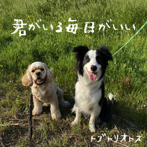 君がいる毎日がいい