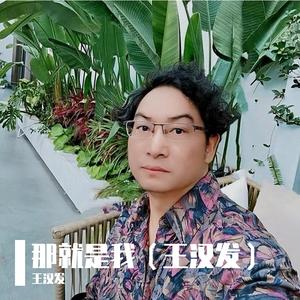 那就是我（王汉发）