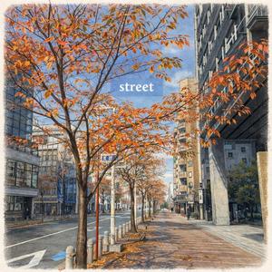 Street