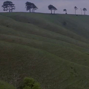 Free thought forbidden