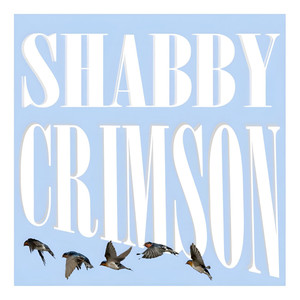 Не было границ