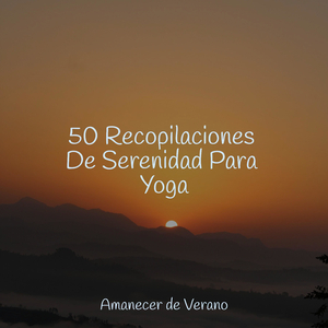 Melancólicas Memorias Resuenan